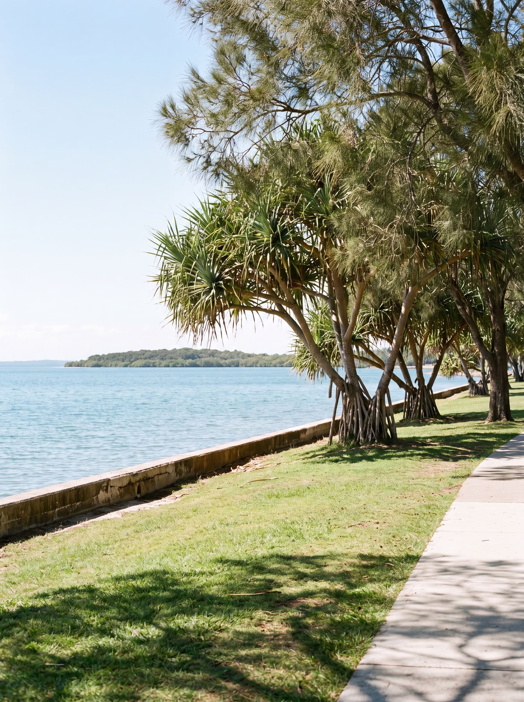 A tree-lined coastal path beside maintained grass and calm blue water.